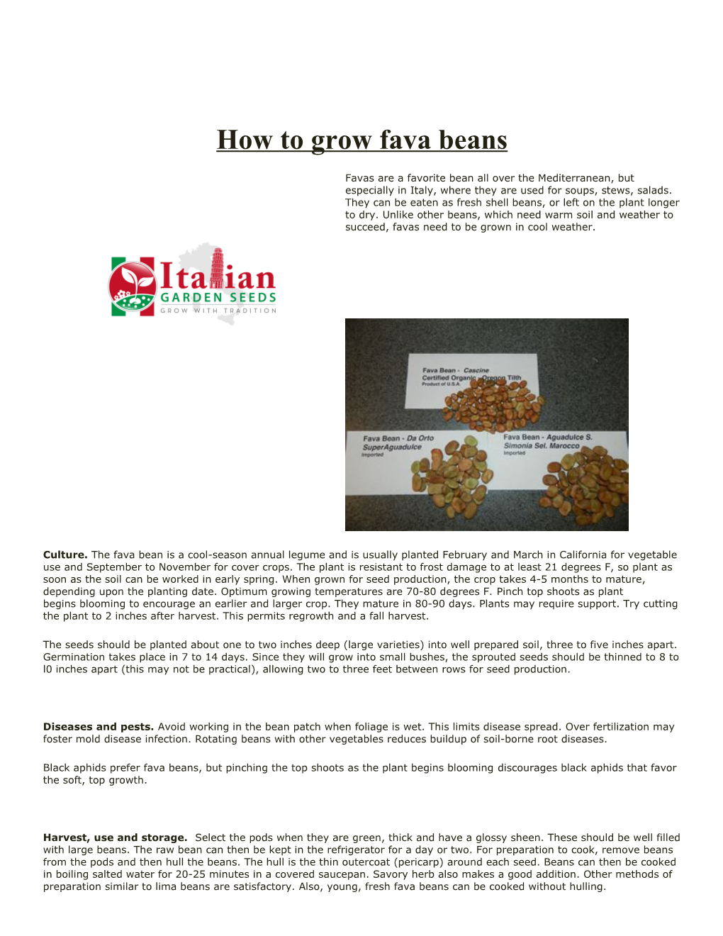 How to Grow Fava Beans