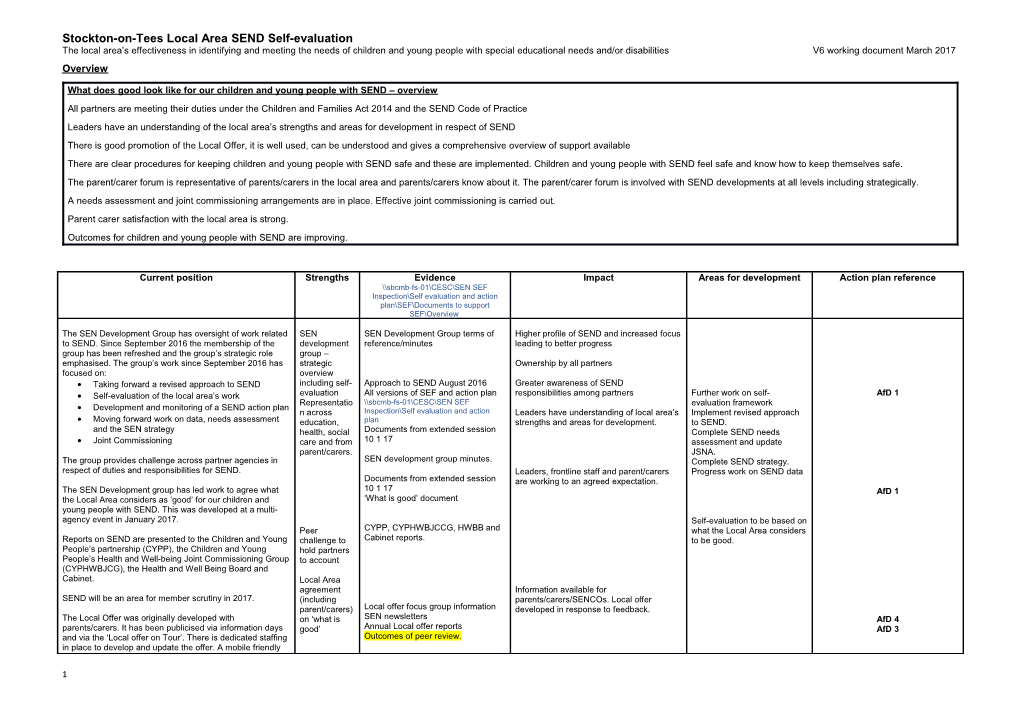 What Does Good Look Like for Our Children and Young People with SEND Overview