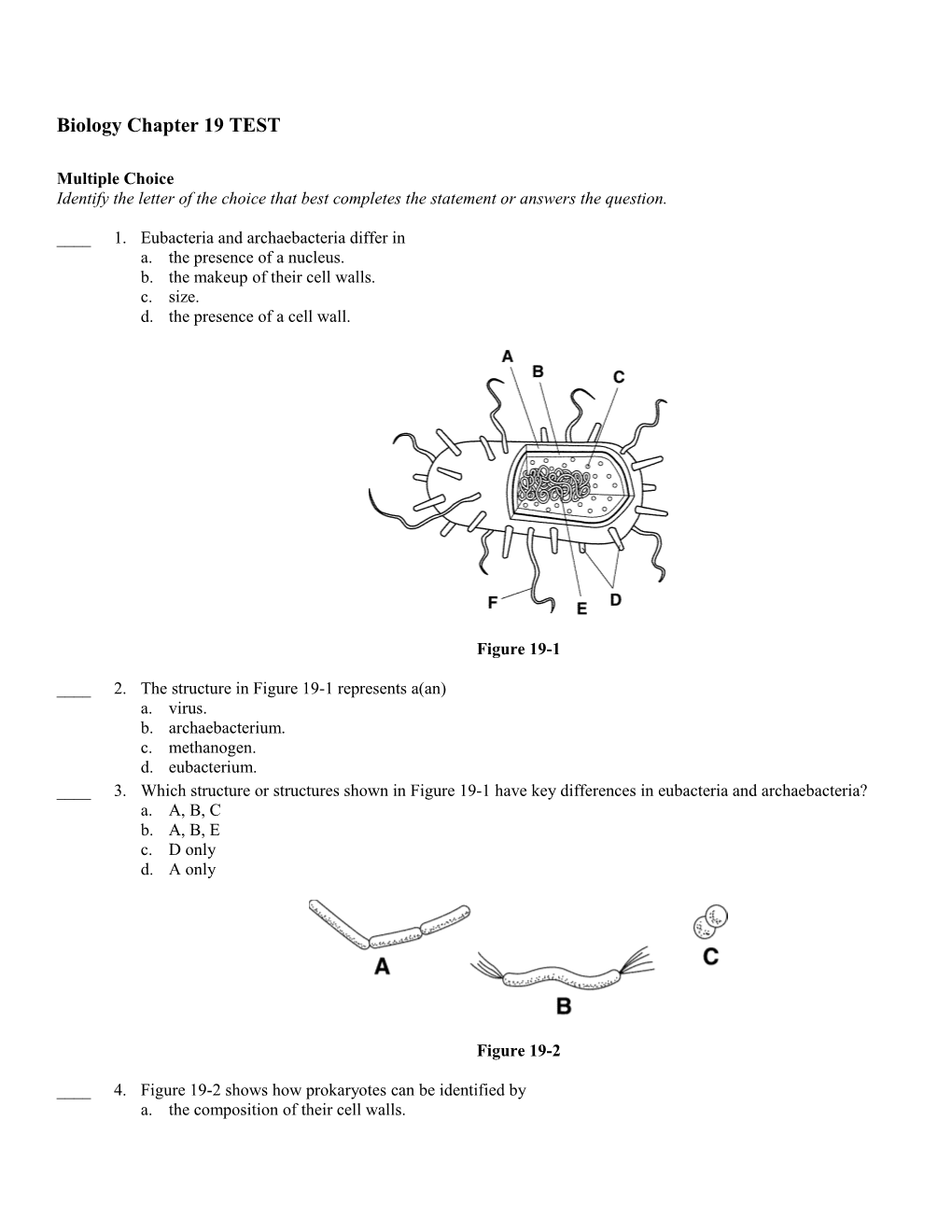 Biology Chapter 19 TEST