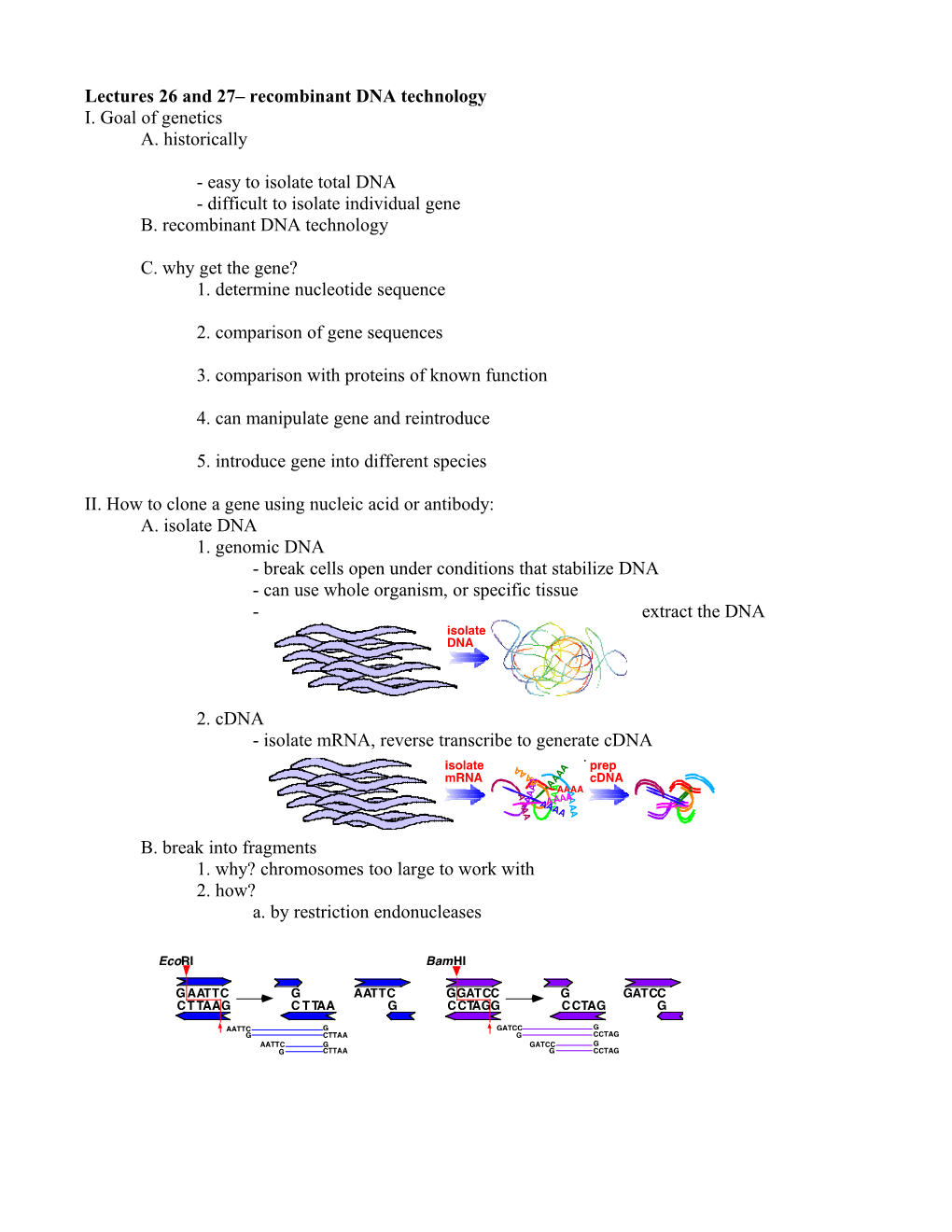 Lectures 26 and 27 Recombinant DNA Technology