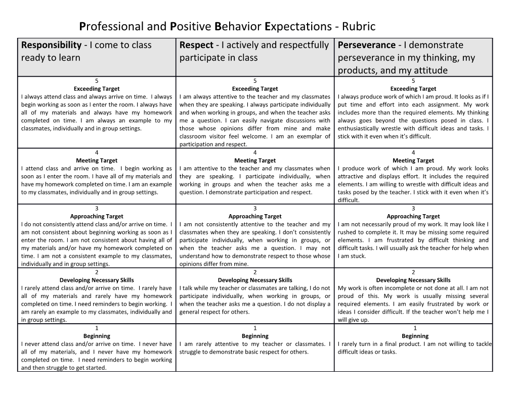 Professional Andpositive Behavior E Xpectations - Rubric
