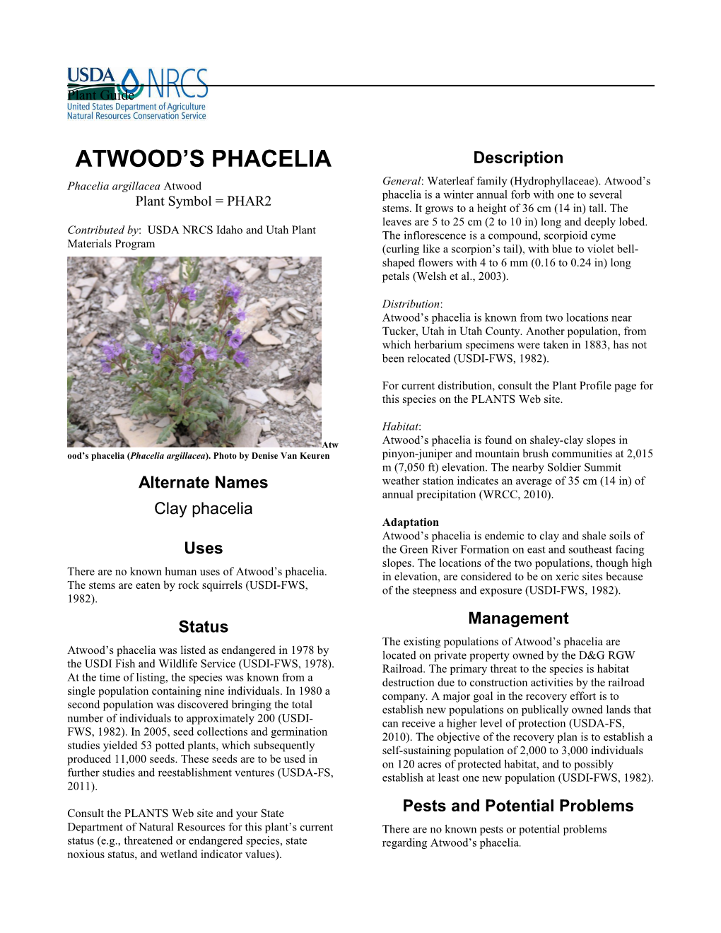 Plant Guide for Atwood's Phacelia (Phacelia Argillacea)