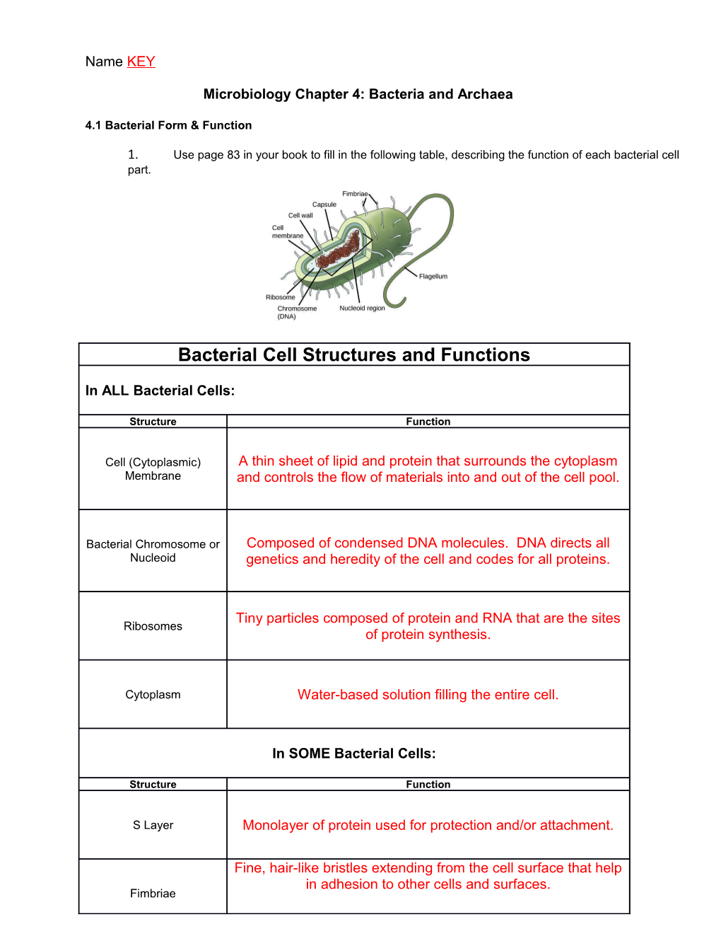 Microbiology Chapter 4: Bacteria and Archaea