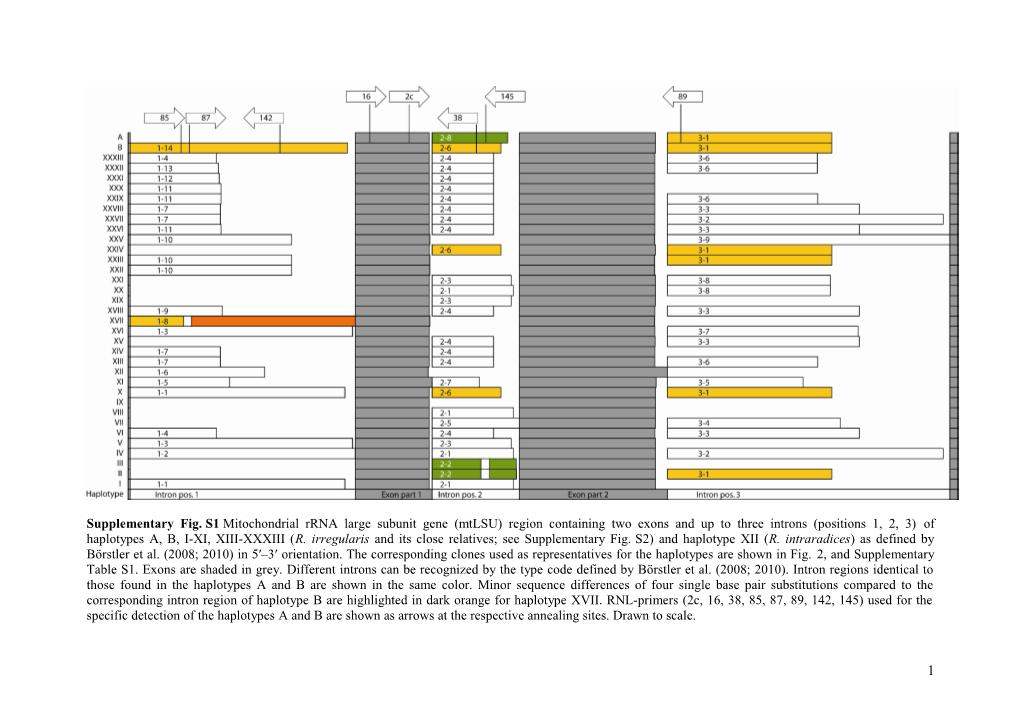 Supplementaryfig.S1 Mitochondrial Rrna Large Subunit Gene (Mtlsu) Region Containing Two