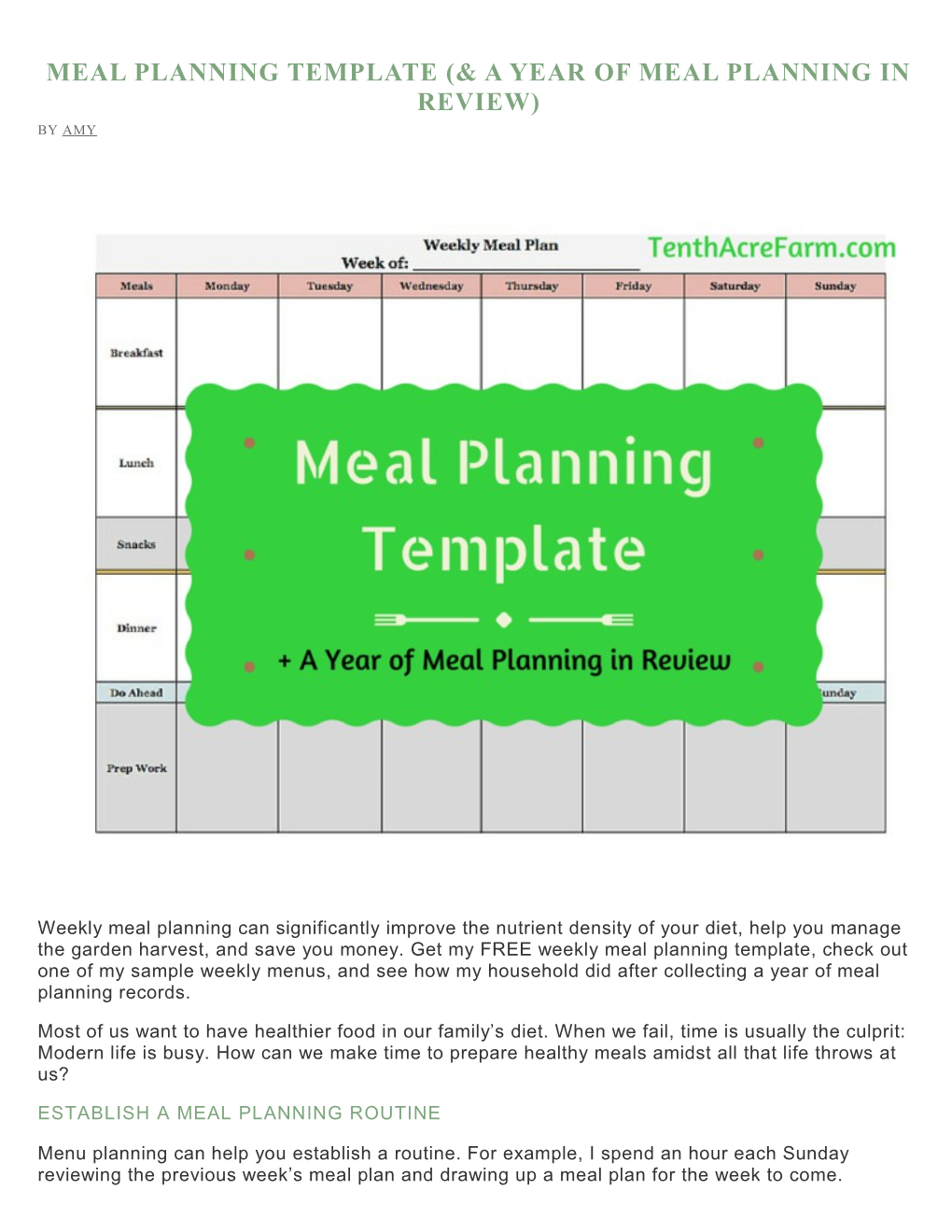 Meal Planning Template (& a Year of Meal Planning in Review)