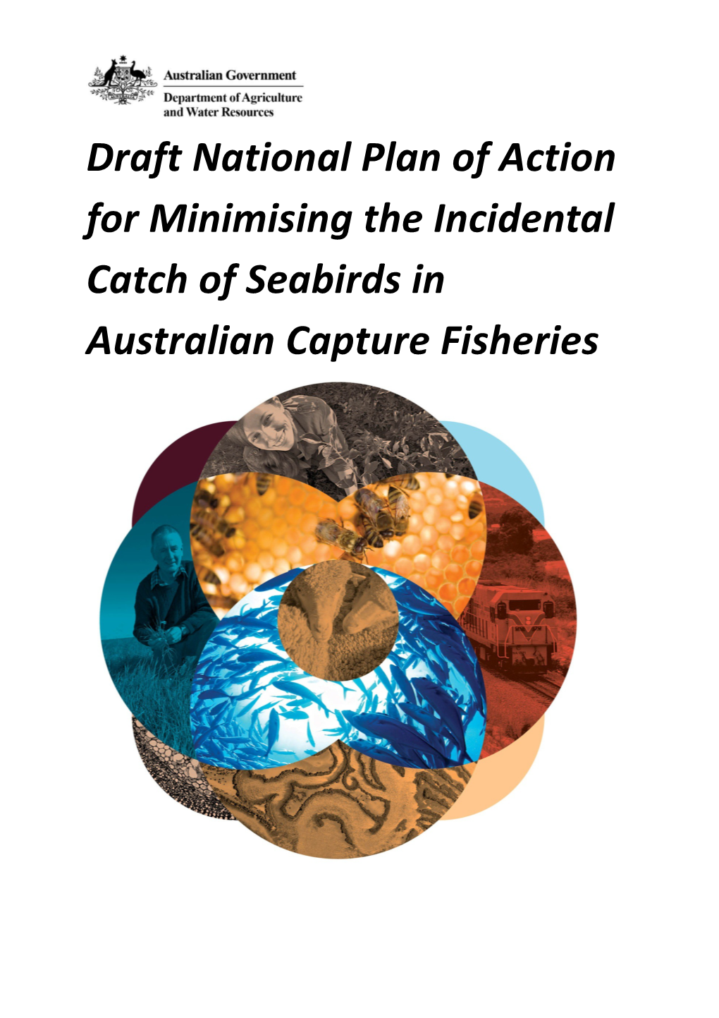 Draft National Plan of Action for Minimising the Incidental Catch of Seabirds in Australian