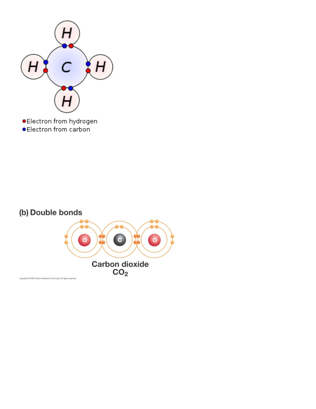 How Are Atoms Held Together in a Covalent Bond?