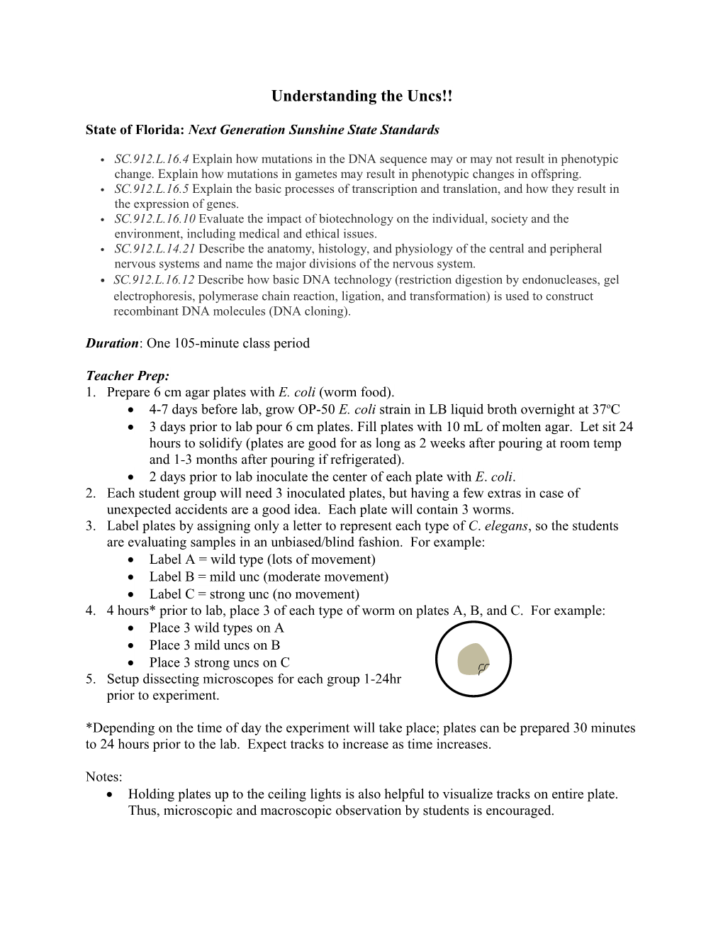 State of Florida:Next Generation Sunshine State Standards