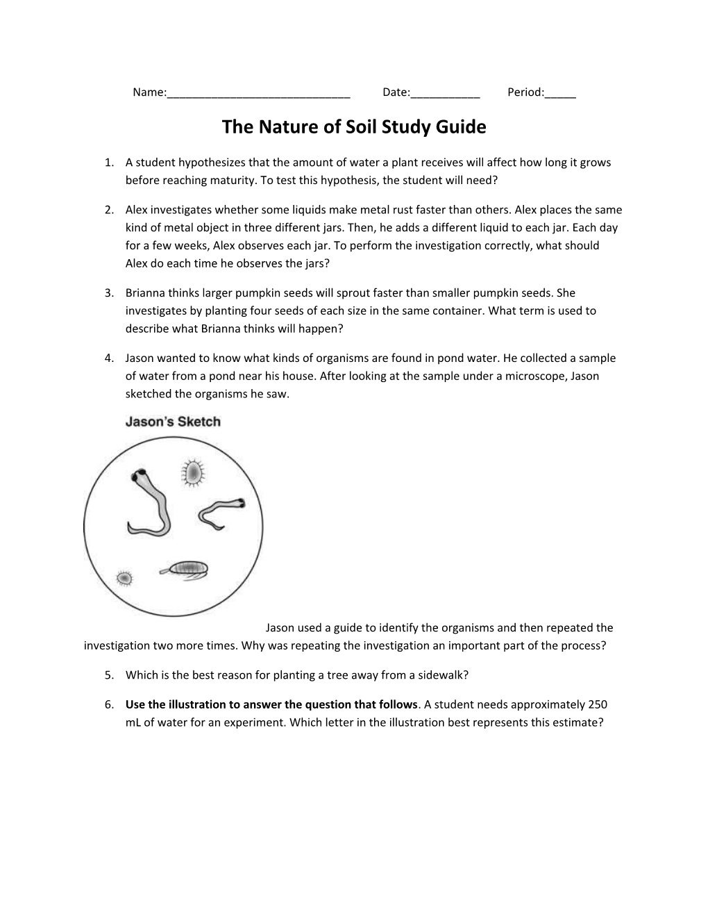 The Nature of Soil Study Guide