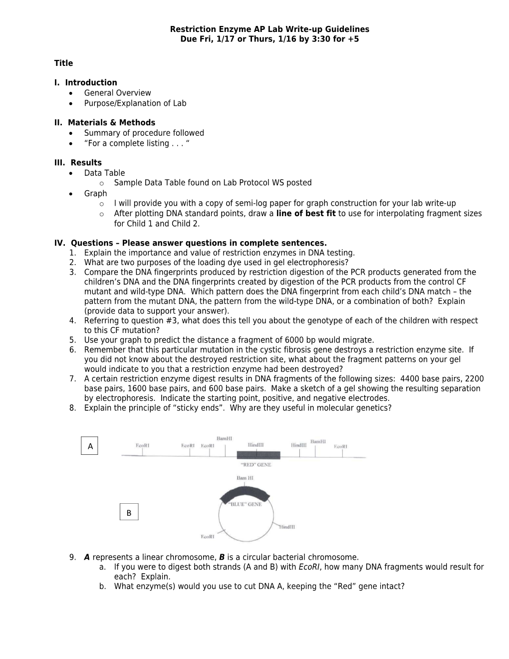 AP LAB 6 Guidelines