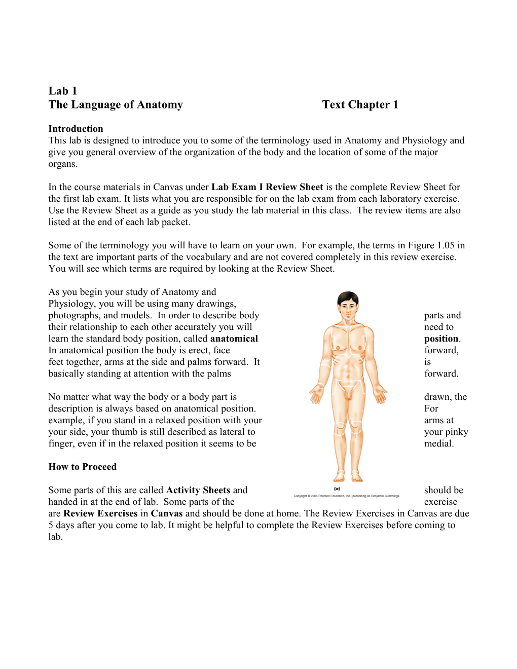 The Language of Anatomy Text Chapter 1
