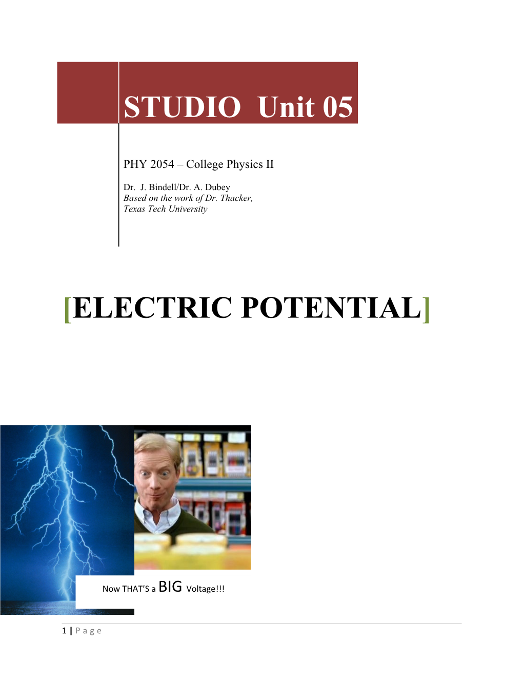 Electrical Potential Difference