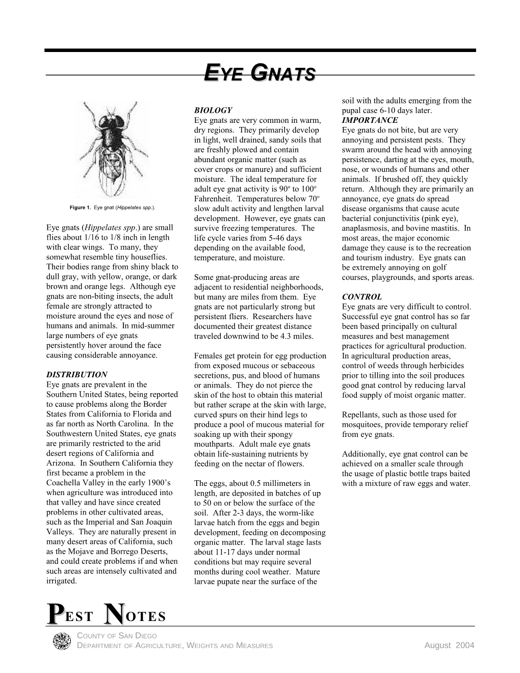 Figure 1. Eye Gnat (Hippelates Spp.)