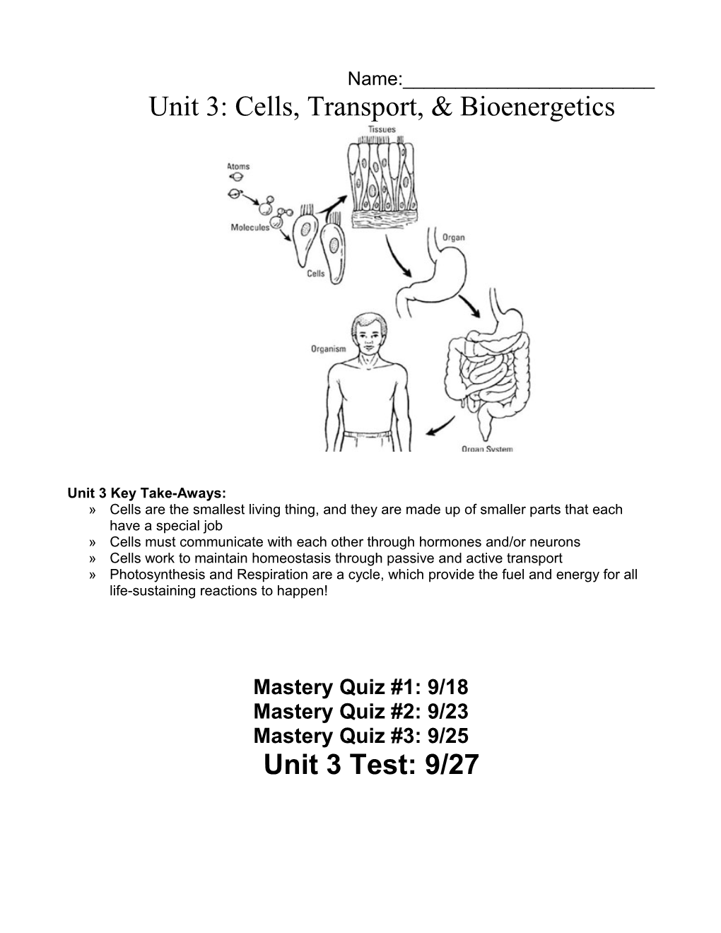 Unit 3: Cells, Transport, & Bioenergetics