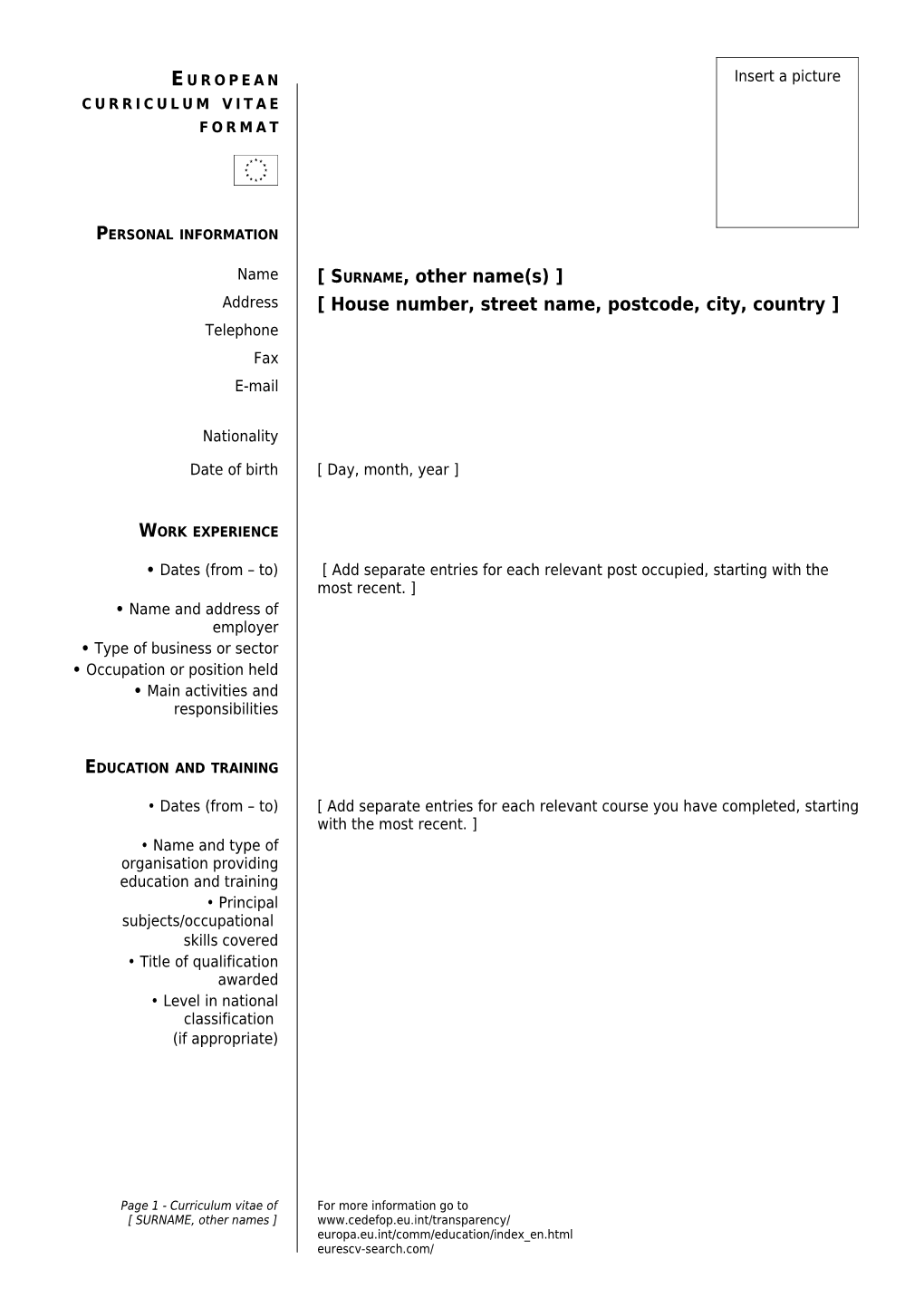 European Curriculum Vitae Format - Template