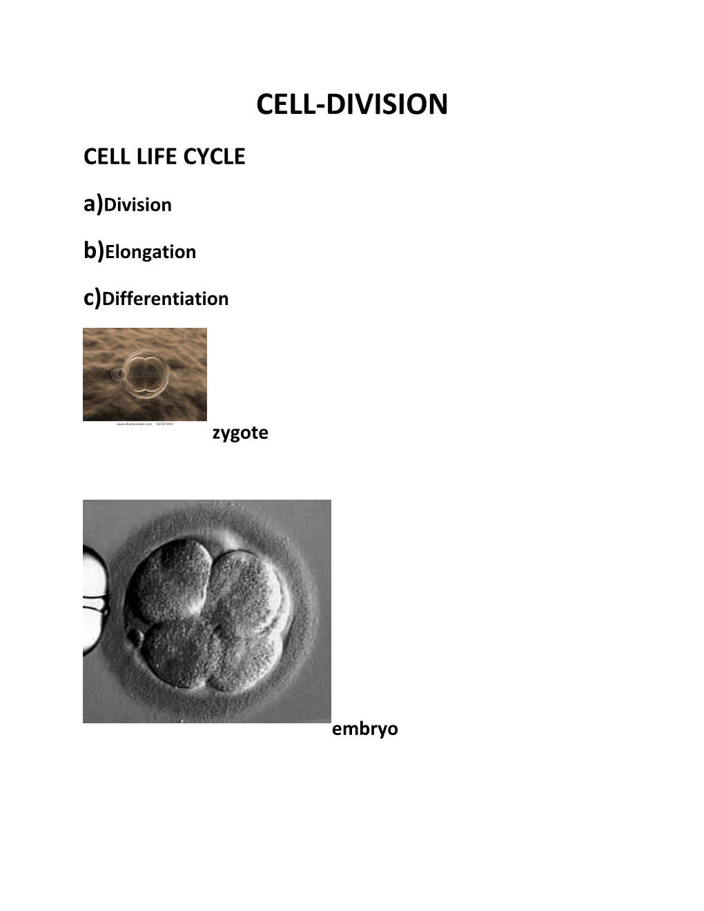 1.INTERPHASE(Resting)