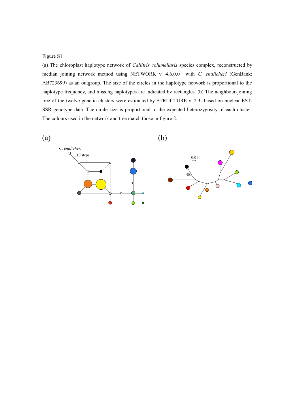 (A) the Chloroplast Haplotype Network of Callitris Columellaris Species Complex, Reconstructed