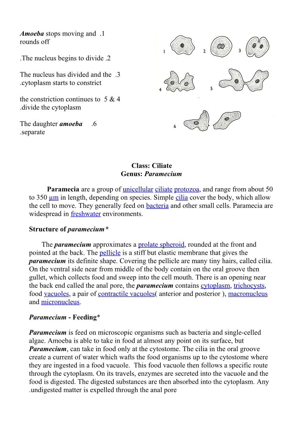 Lecture (4) the Protozoa Theoretical Biology