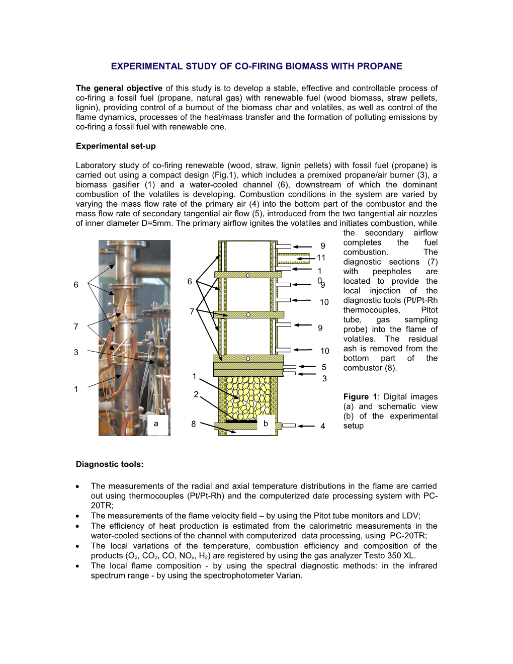 Experimental Study of Co-Firing a Wood Biomass with Propane