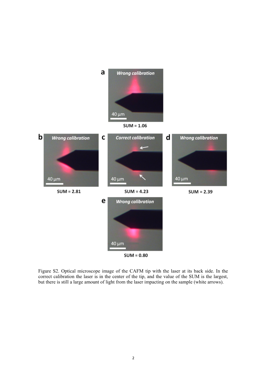 Characterization of the Photocurrents Generated by the Laser of Atomic Force Microscopes