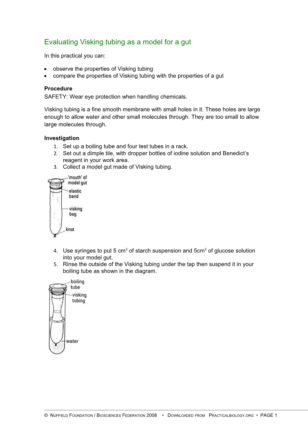 Evaluating Visking Tubing As a Model for a Gut