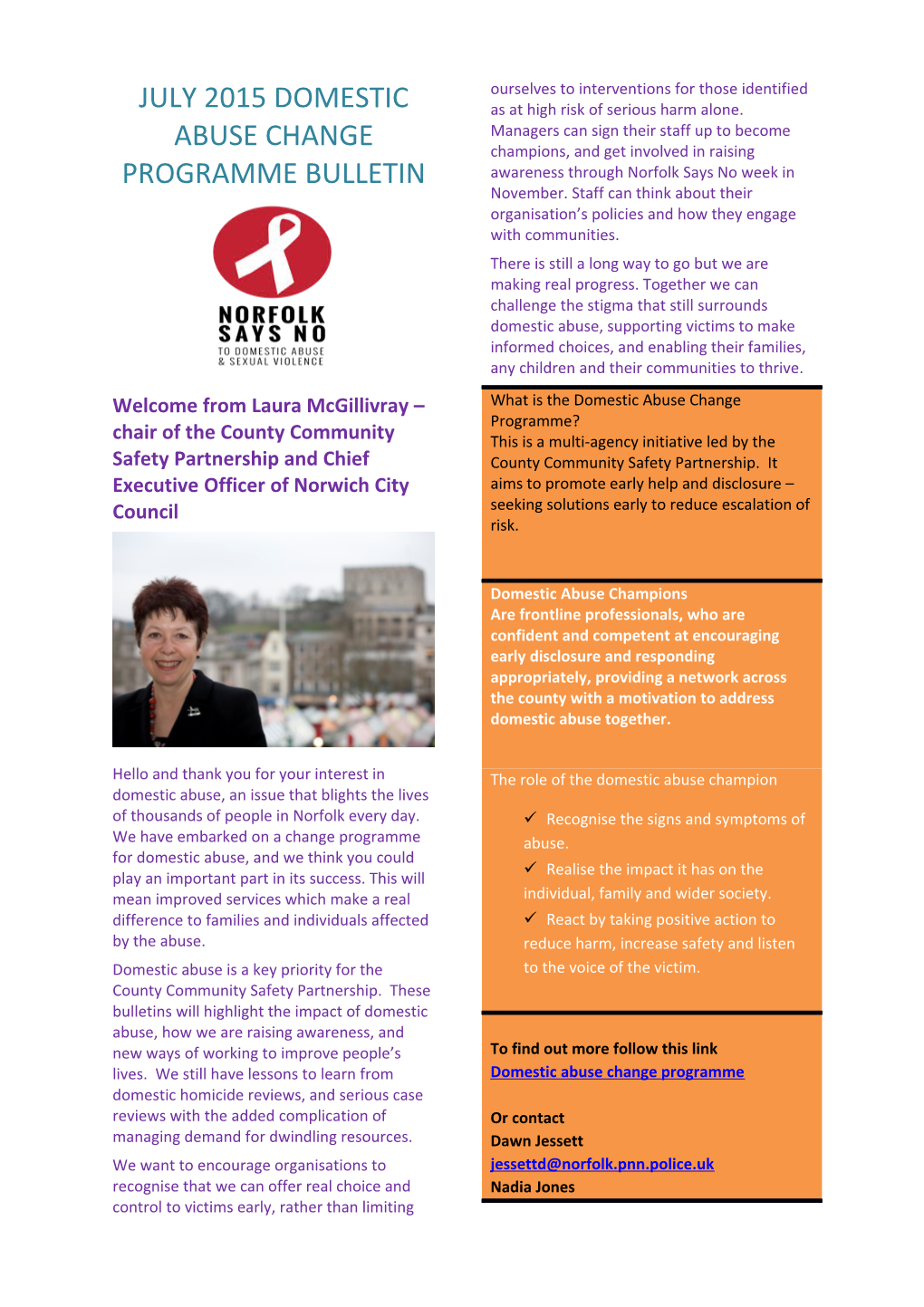 July 2015 Domestic Abuse Change Programme Bulletin