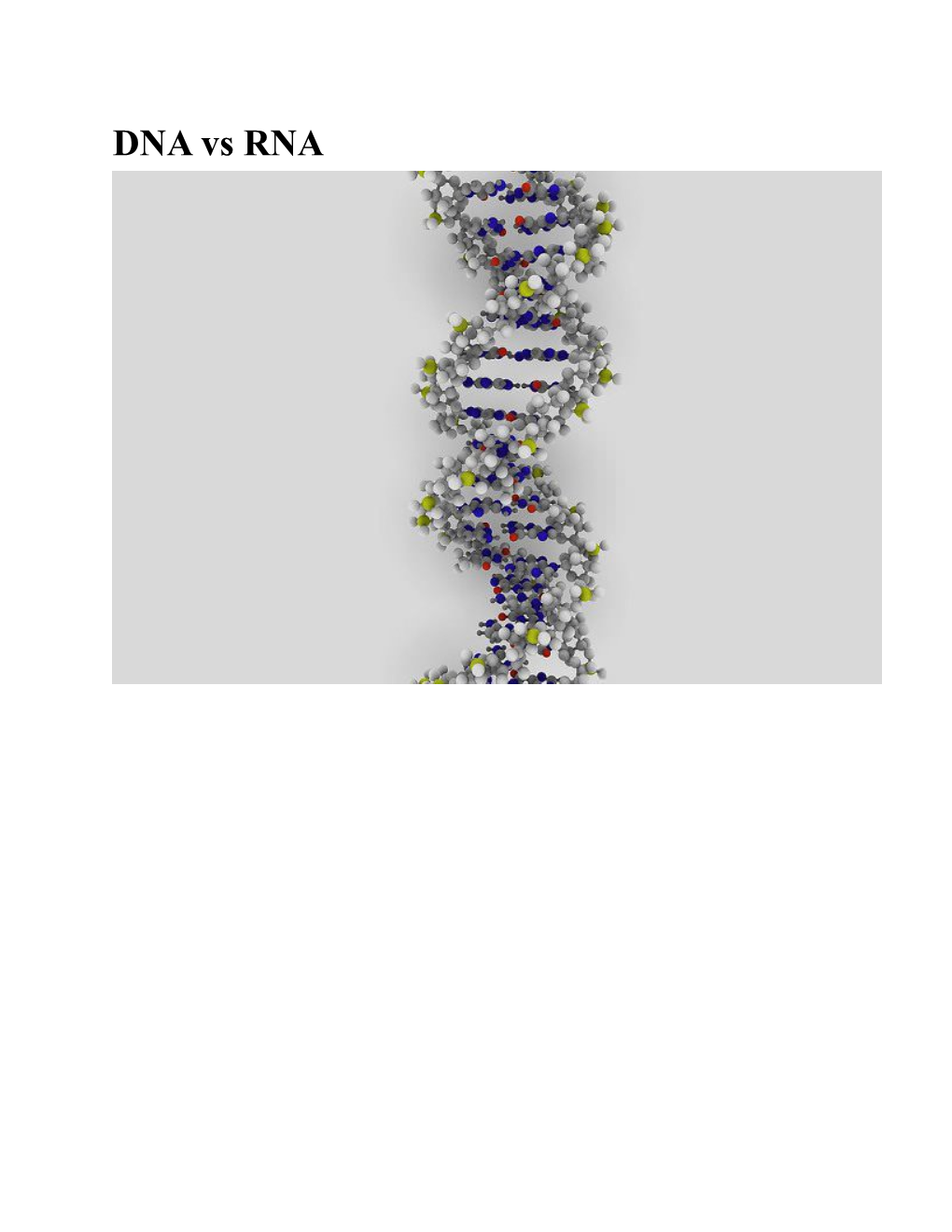 The Main Difference Between DNA and RNA Is the Sugar Present in the Molecules. While The