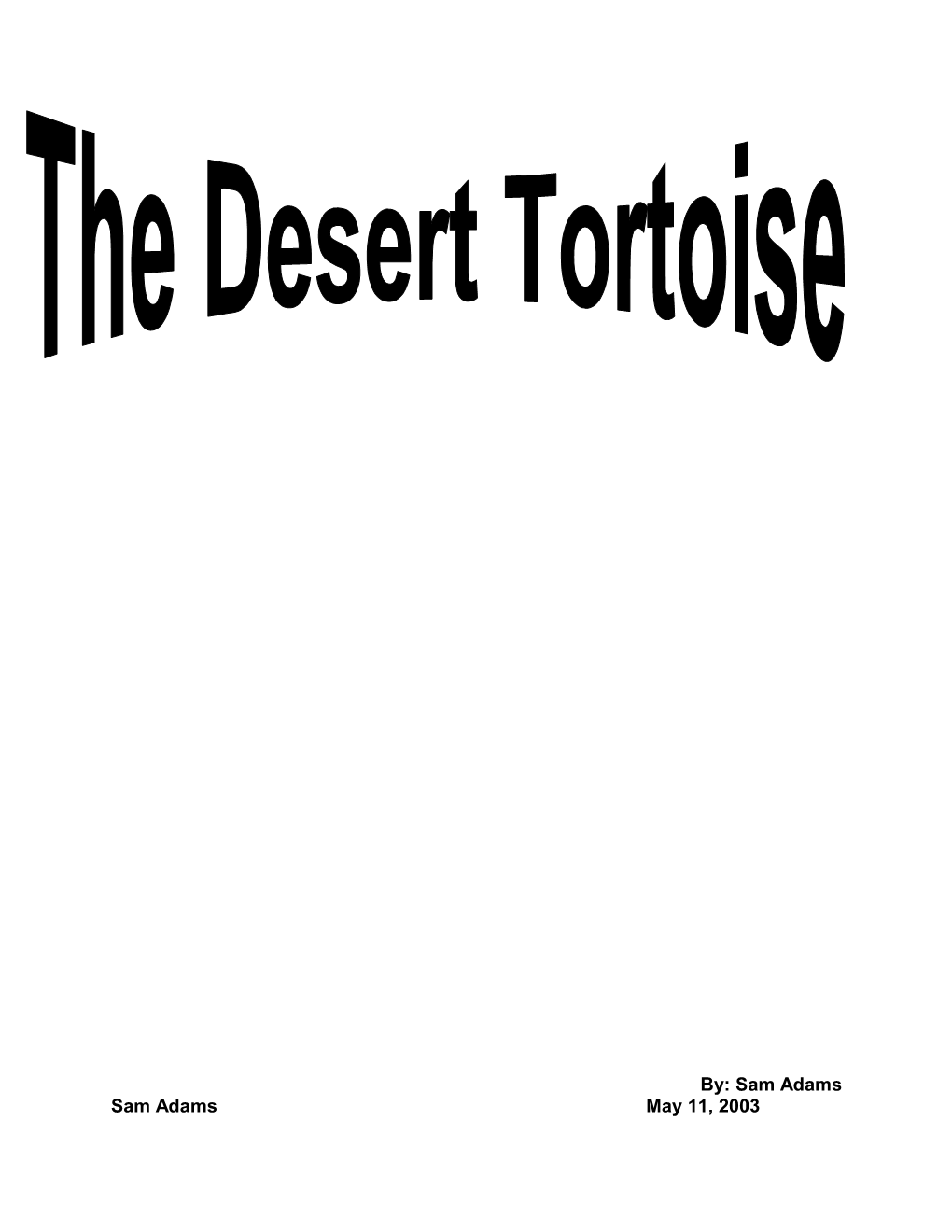 Tortoises Are Known As Massive Giants but the Desert Tortoise Only Grows to Be 15 Inches
