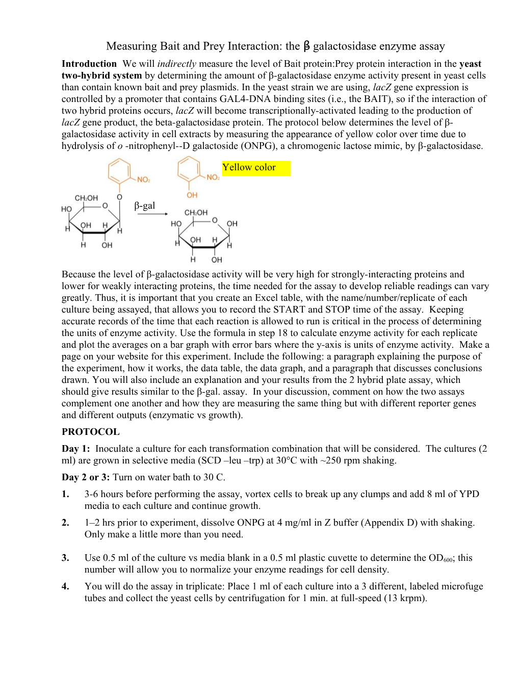 Beta-Galactosidase Enzyme Assay