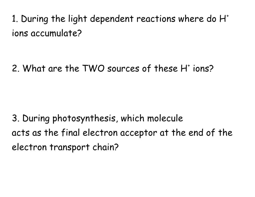 1. During the Light Dependent Reactions Where Do H+ Ions Accumulate?
