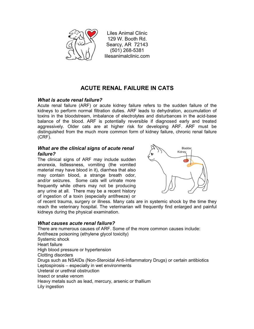 Acute Renal Failure in Cats