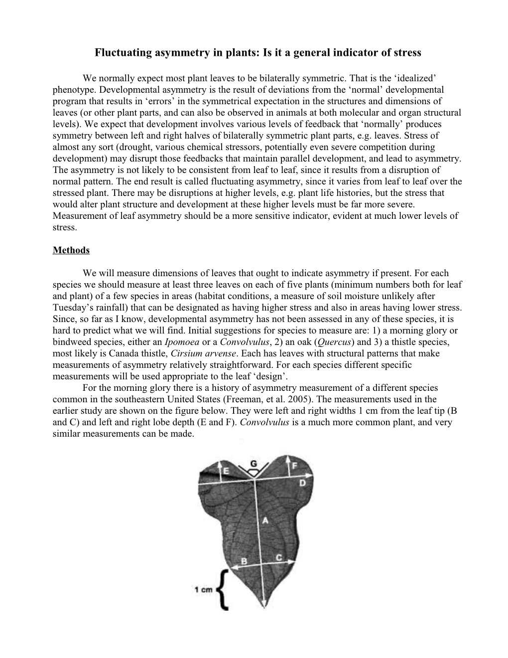 Fluctuating Asymmetry in Plants: Is It a General Indicator of Stress