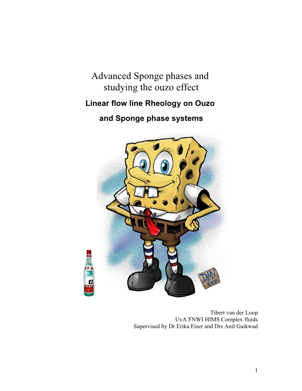 Advanced Sponge Phases And