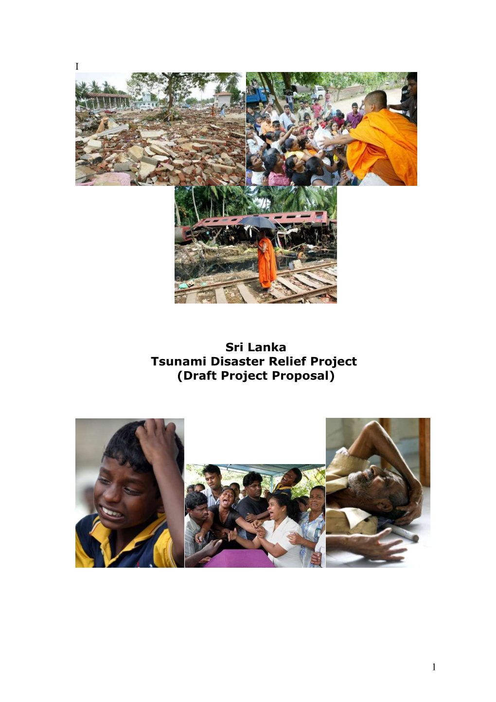 Tsunami Disaster Relief Project