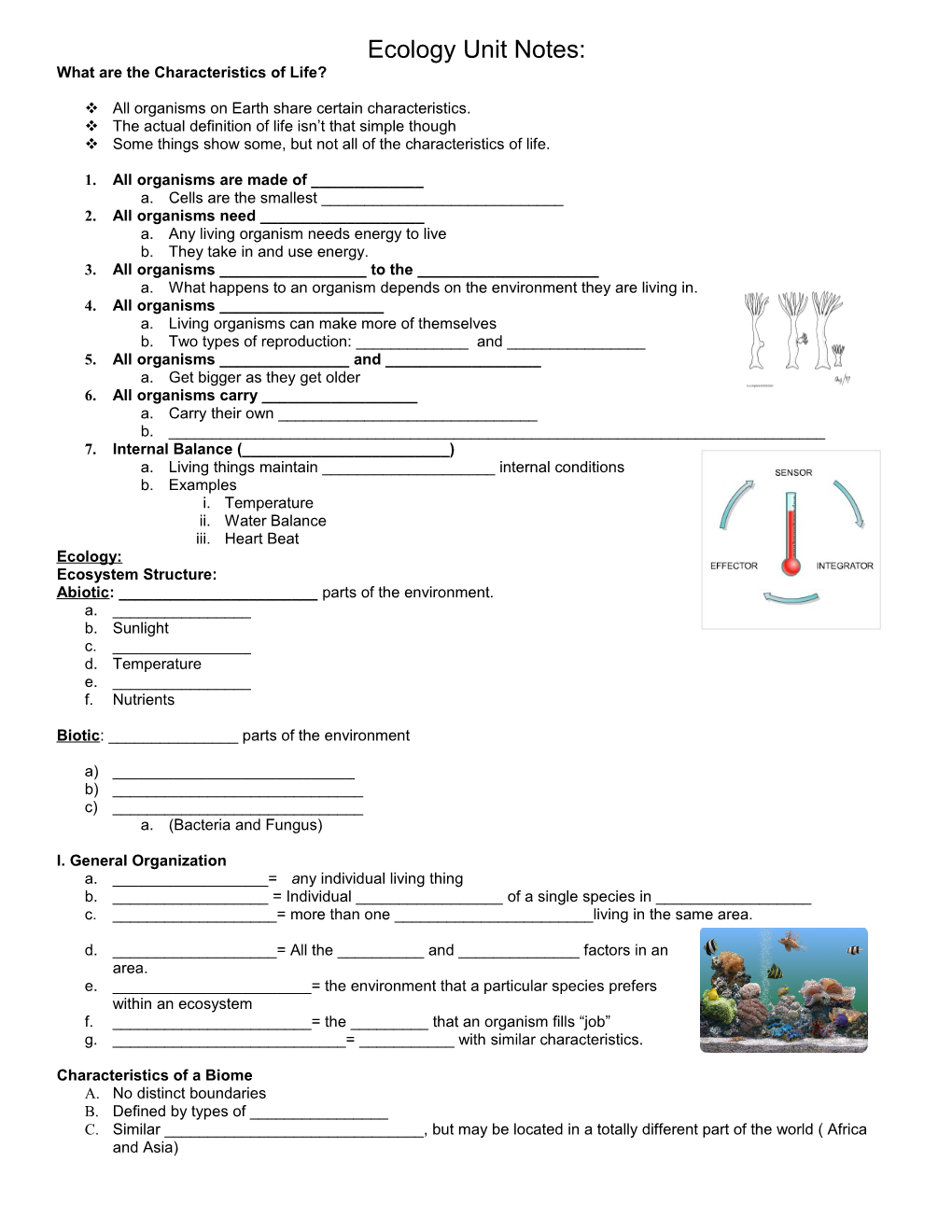 Ecology Unit Notes