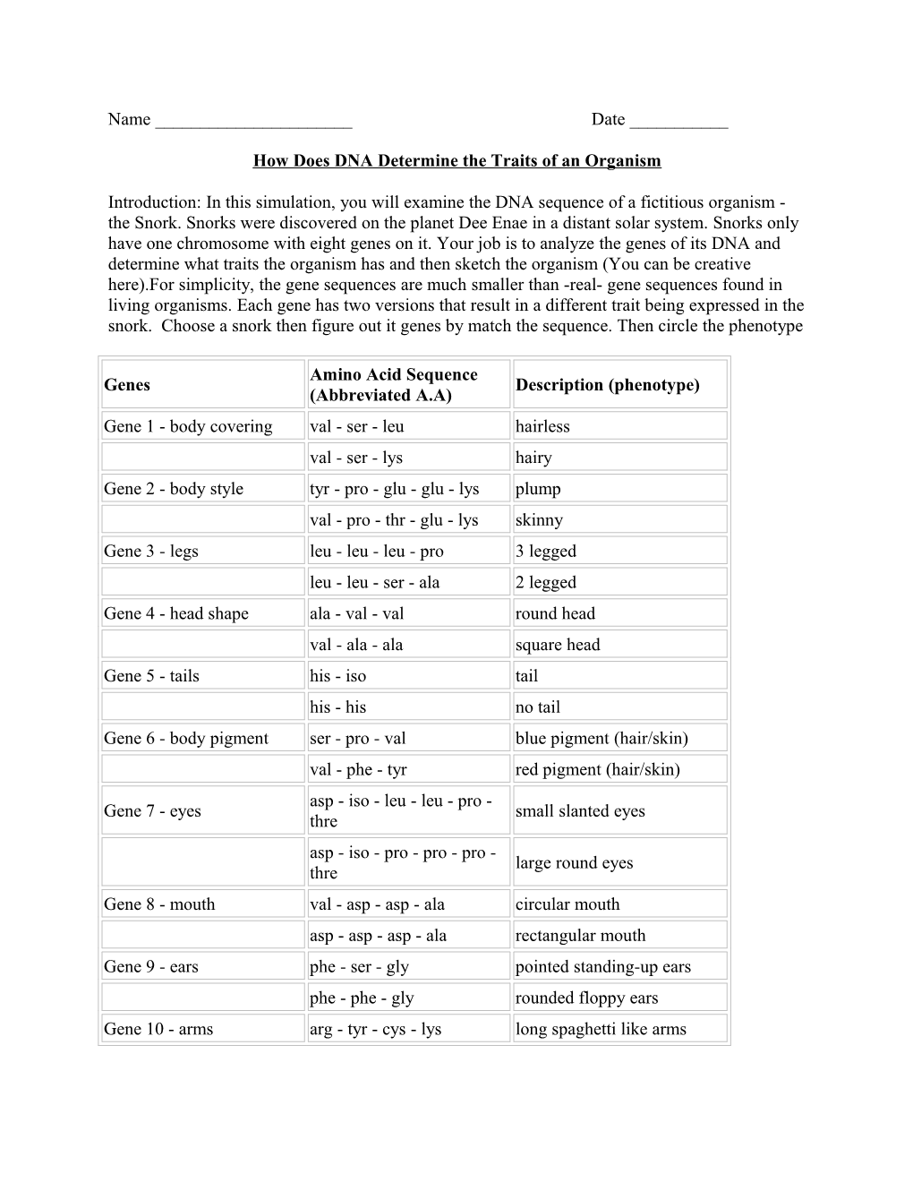 How Does DNA Determine the Traits of an Organism