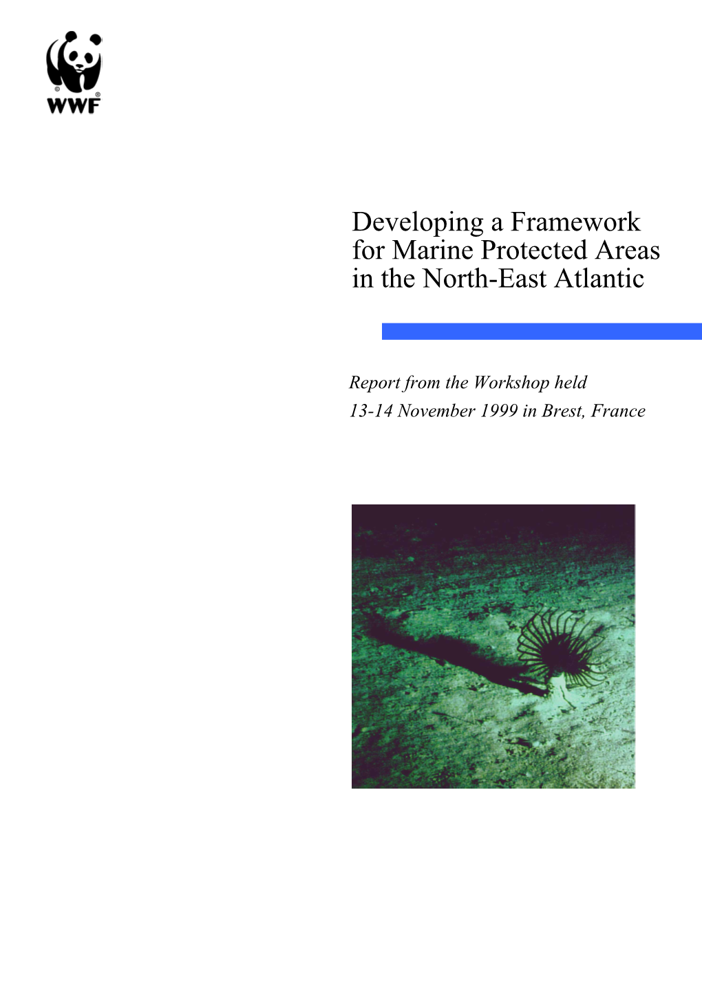 For Marine Protected Areas in the North-East Atlantic
