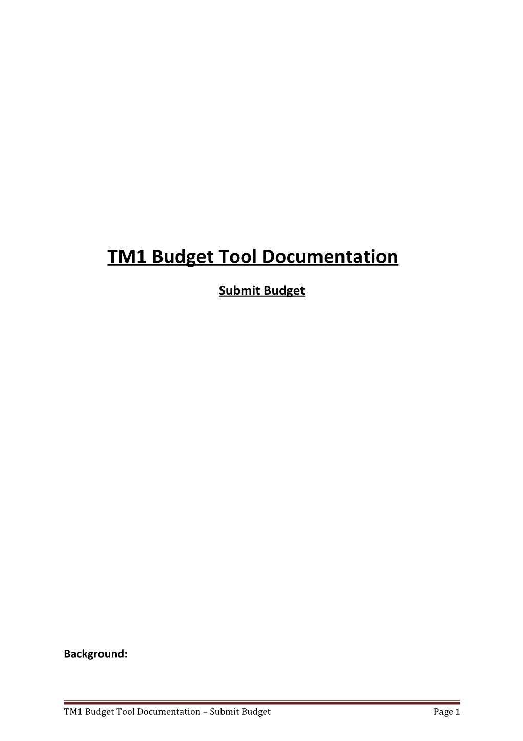 TM1 Budget Tool Documentation