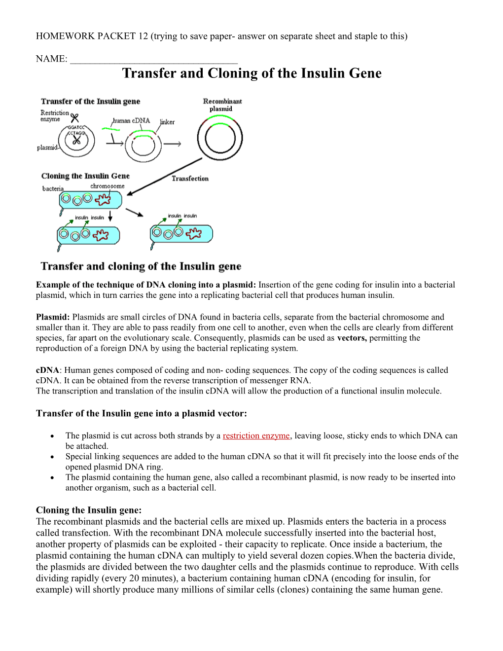 Transfer and Cloning of the Insulin Gene