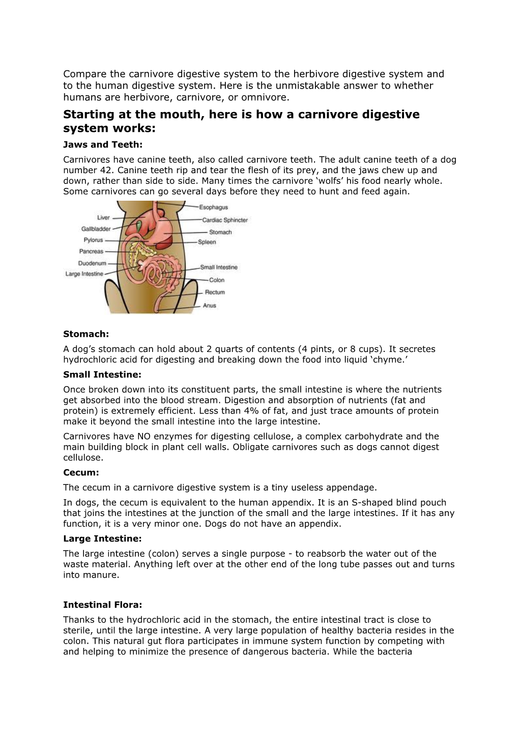 Starting at the Mouth, Here Is How a Carnivore Digestive System Works