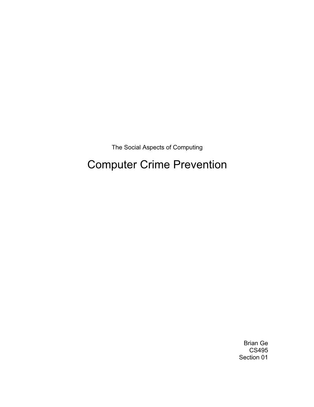 Computer Crime Prevention