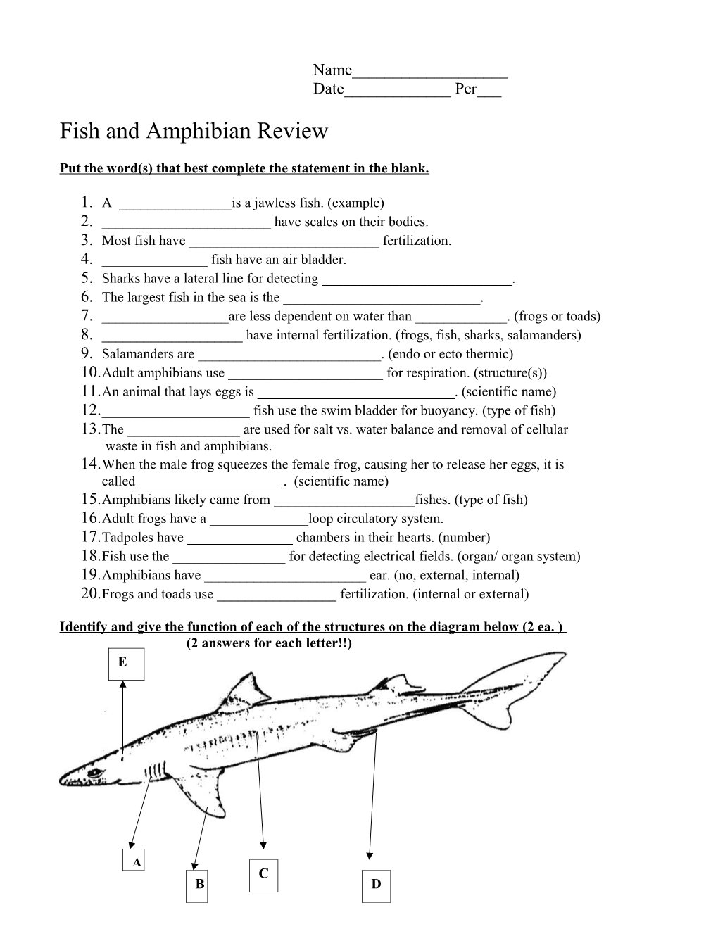 Fish and Amphibian Review