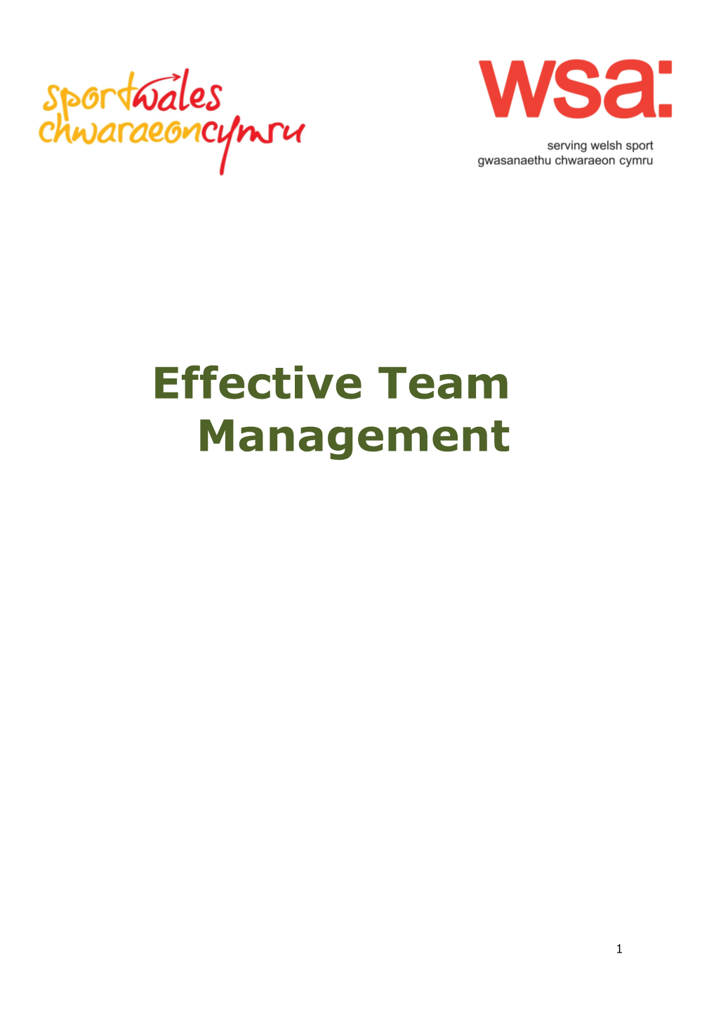 Roles & Responsibilities of the Team Manager