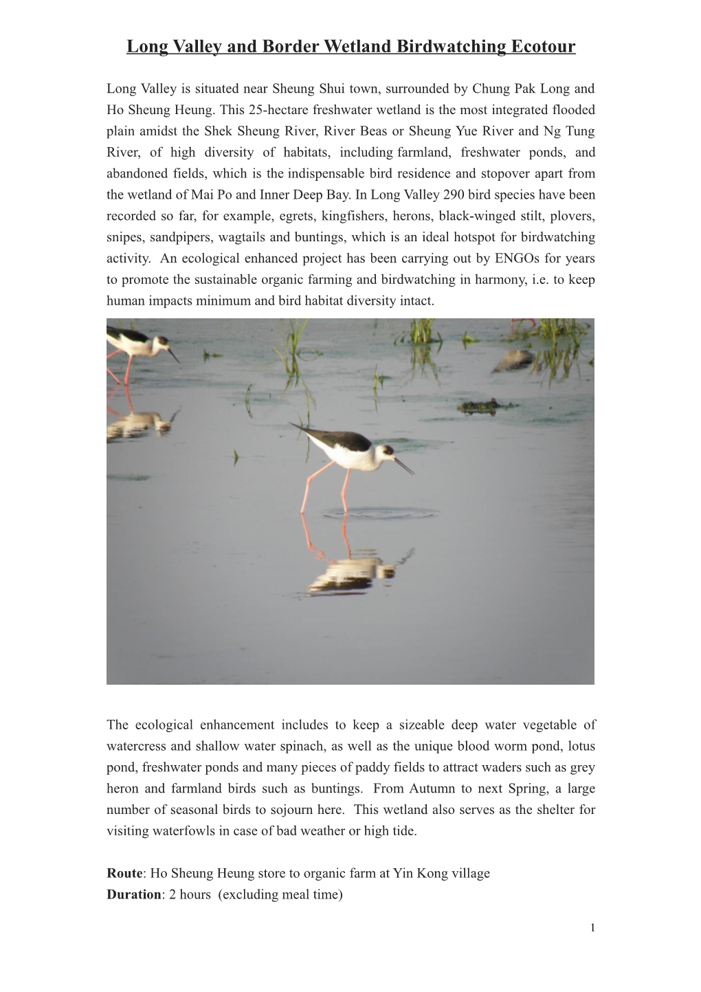 Long Valley and Border Wetland Birdwatching Ecotourism