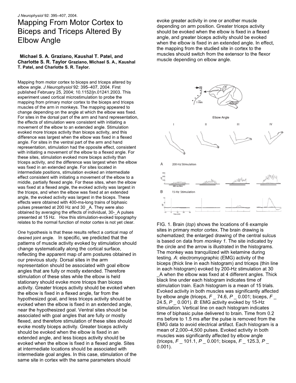 Mapping from Motor Cortex to Biceps and Triceps Altered by Elbow Angle