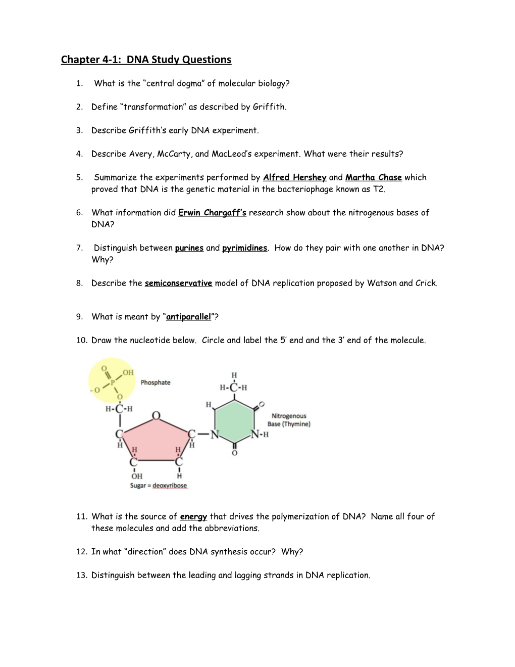 Chapter 4-1: DNA Study Questions