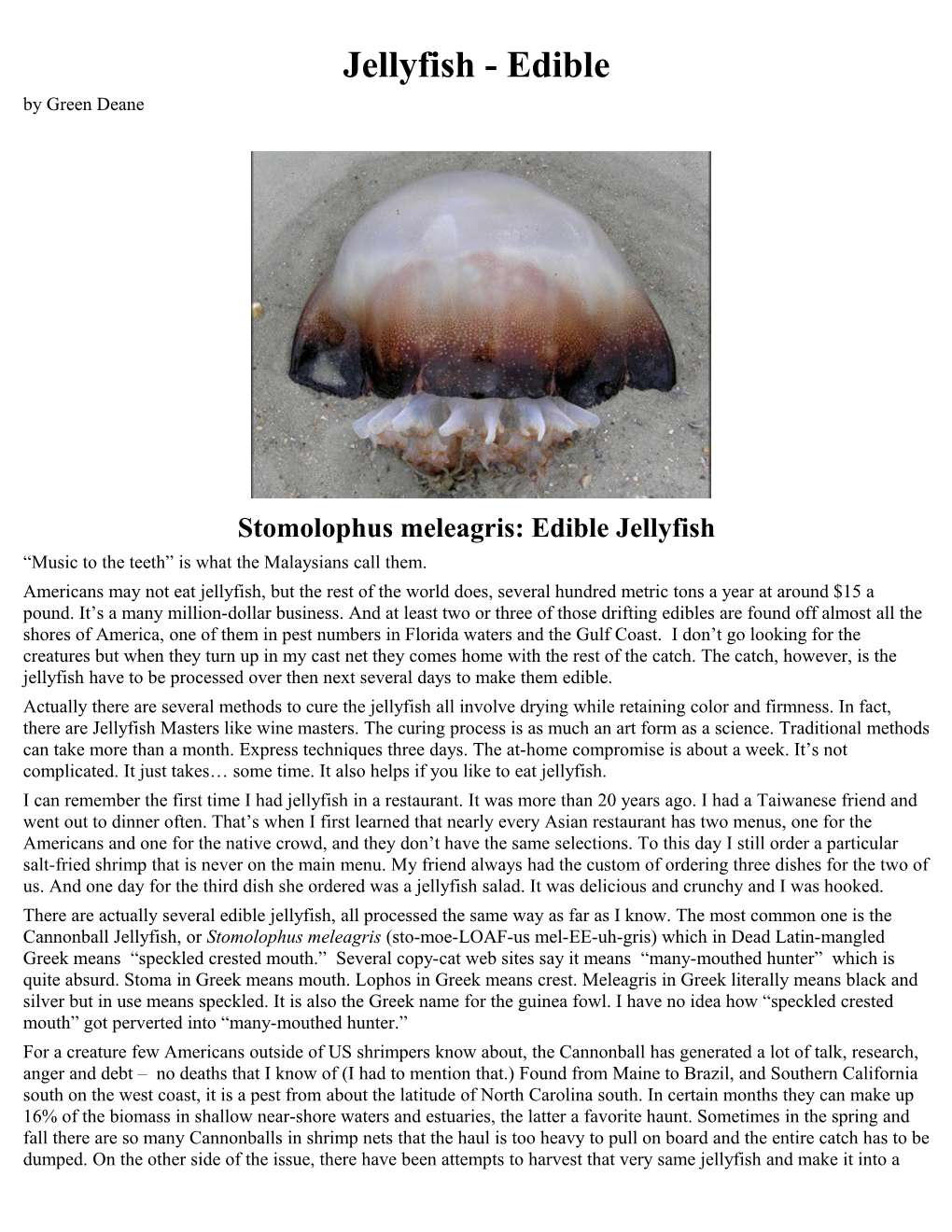 Jellyfish - Edible