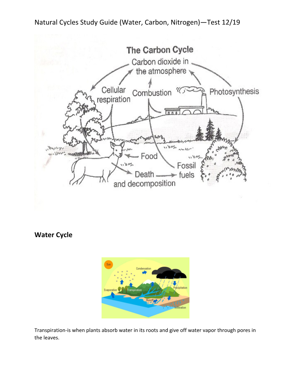 Natural Cycles Study Guide (Water, Carbon, Nitrogen) Test 12/19