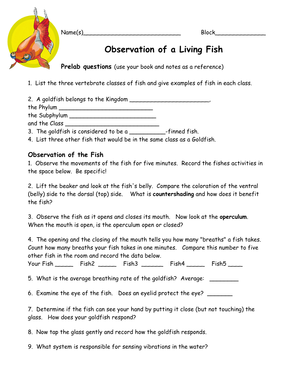Observation of a Living Fish