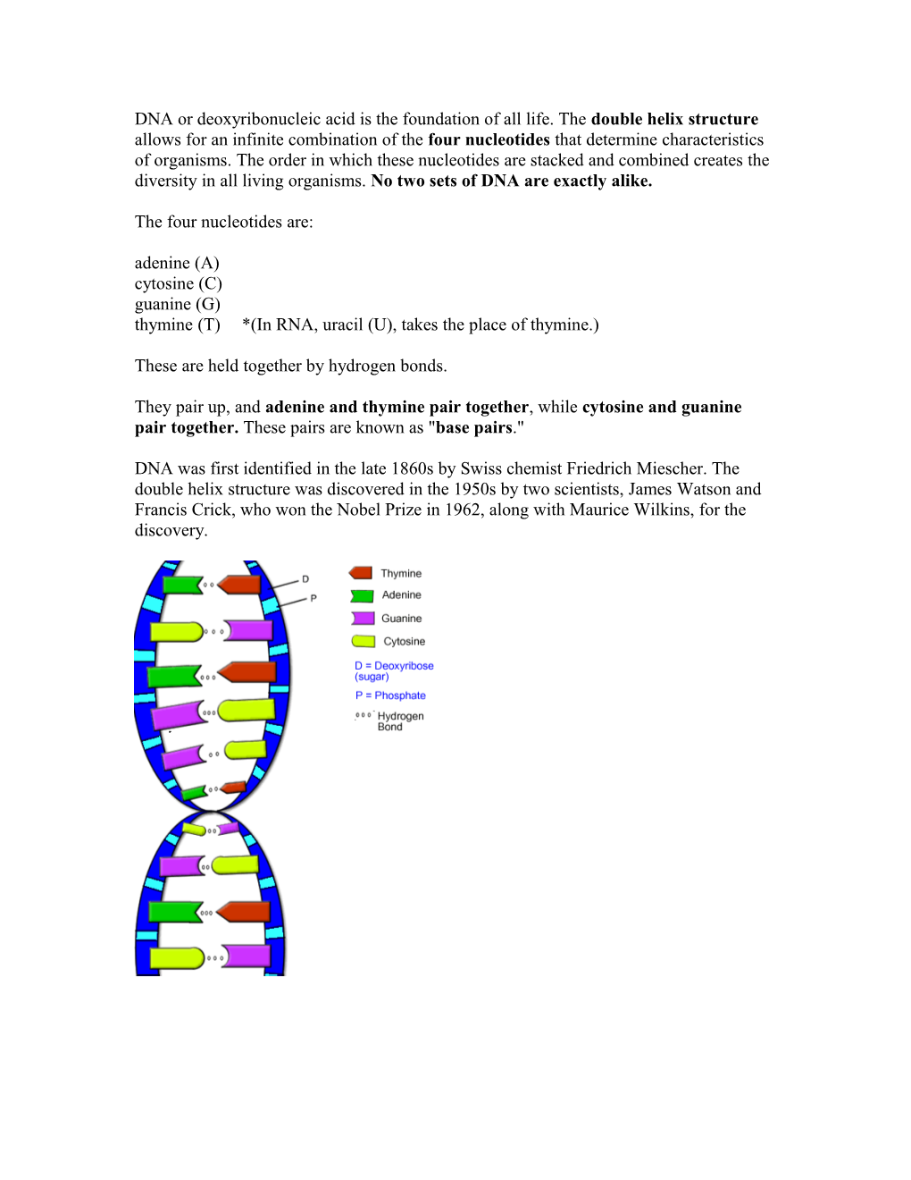 DNA Or Deoxyribonucleic Acid Is the Foundation of All Life